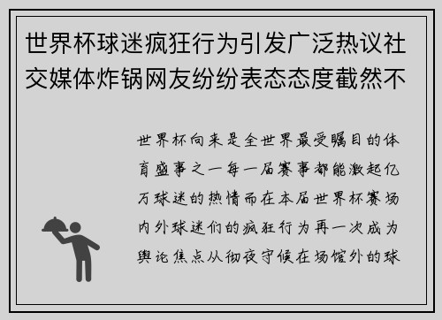 世界杯球迷疯狂行为引发广泛热议社交媒体炸锅网友纷纷表态态度截然不同